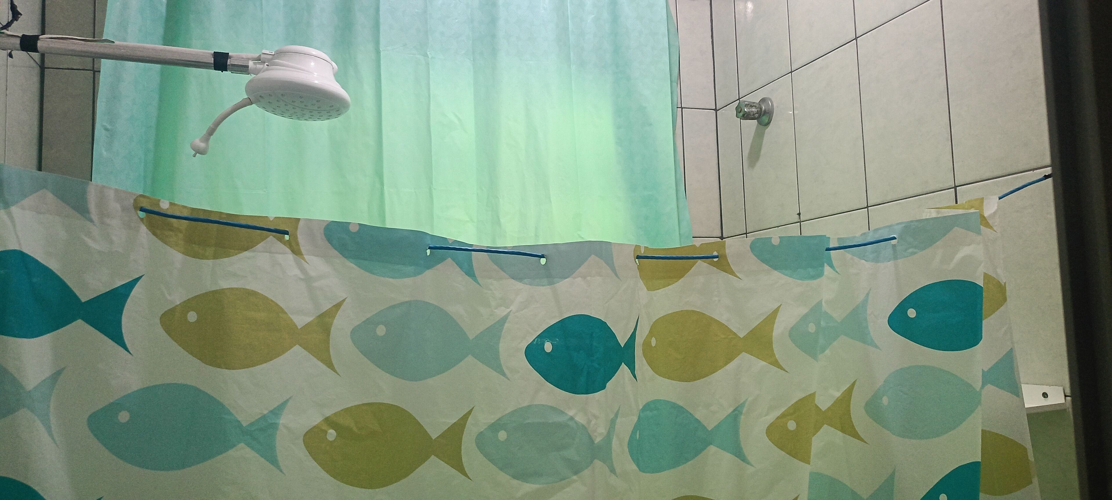 Shower, bidet, soap, toilet paper