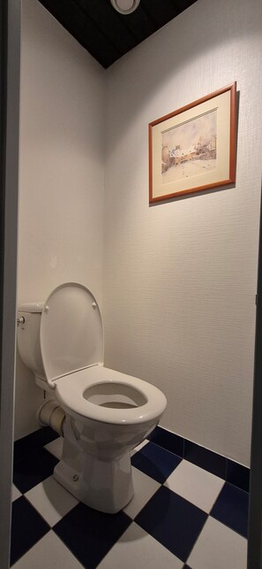 Douche, sèche-cheveux, serviettes fournies, papier toilette