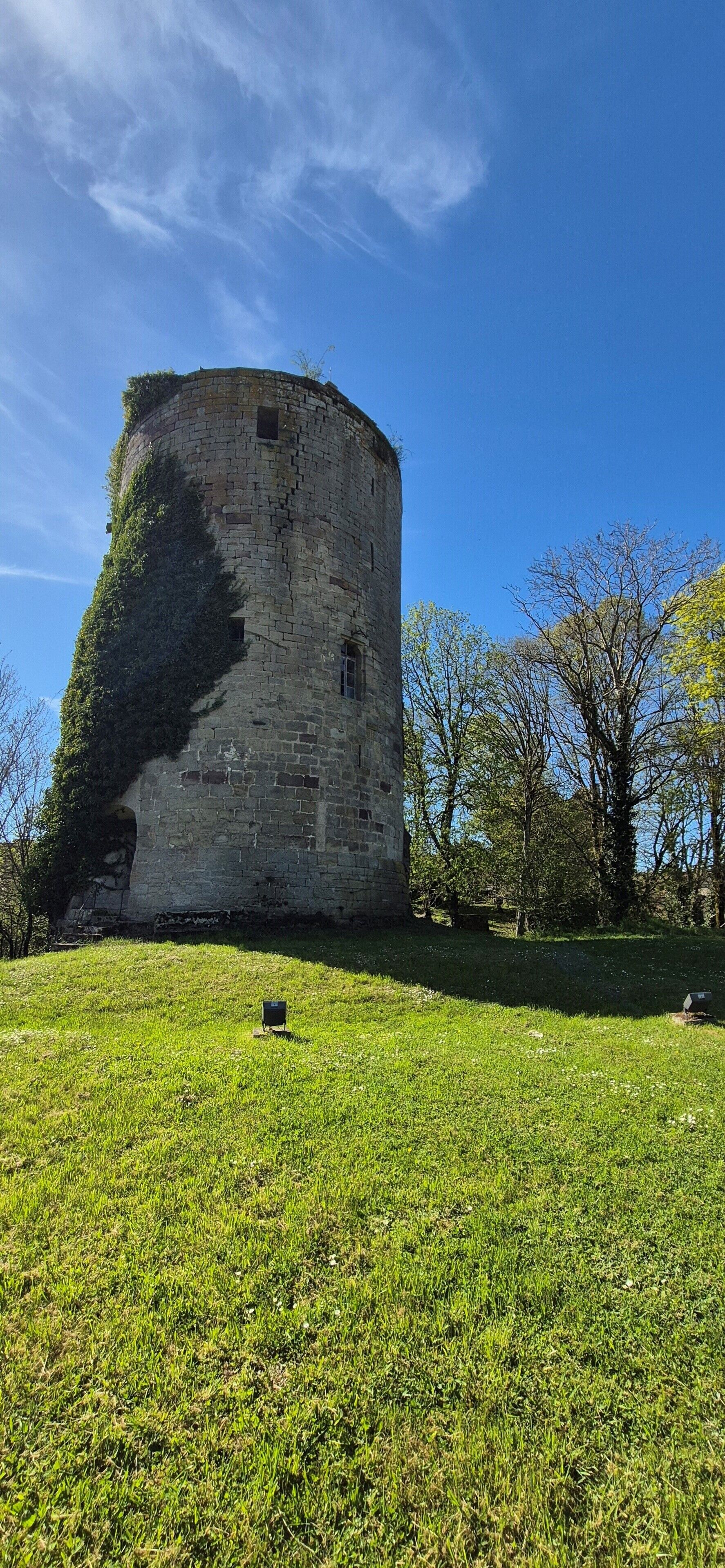 A historic stone tower with ivy, surrounded by a grassy field and trees.