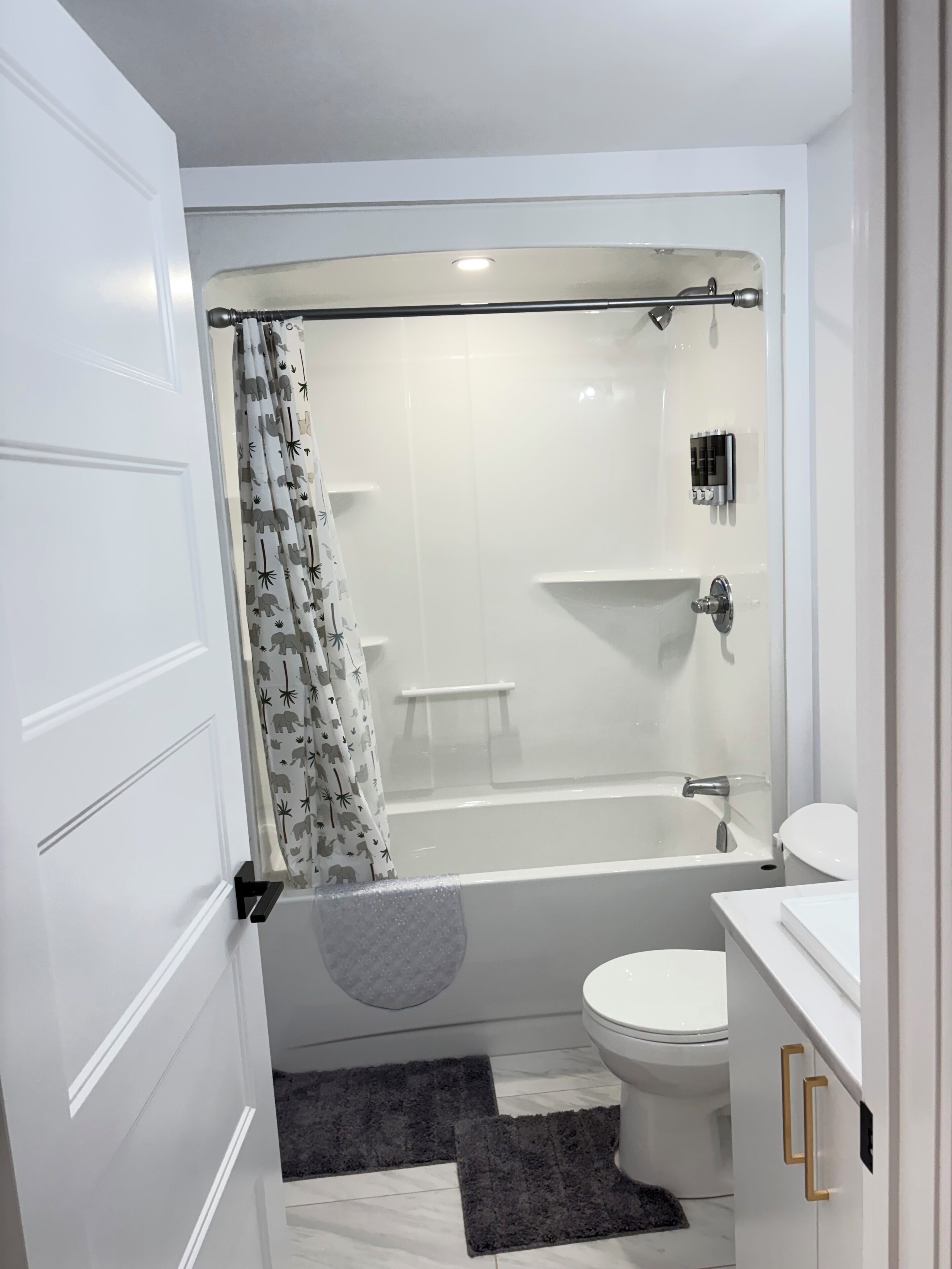 Hair dryer, towels, soap, shampoo