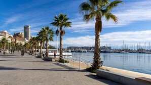 A waterfront promenade with palm trees, a marina, and buildings in the background. - City and Beach by Fidalsa (Alicante)