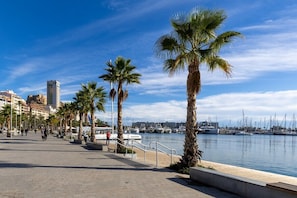 Interior - City and Beach by Fidalsa (Alicante)