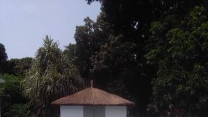 A rectangular swimming pool with a thatched-roof structure in the center, surrounded by a paved area and lush greenery. - Vokundahouse Gambia: Your private home away from home (Serekunda)