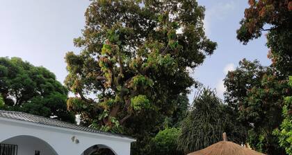 Vokundahouse Gambia: Your private home away from home