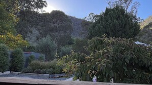 Blick auf einen Garten mit verschiedenen Bäumen und Sträuchern, einem Wasserspiel und einem Gebäude im Hintergrund.