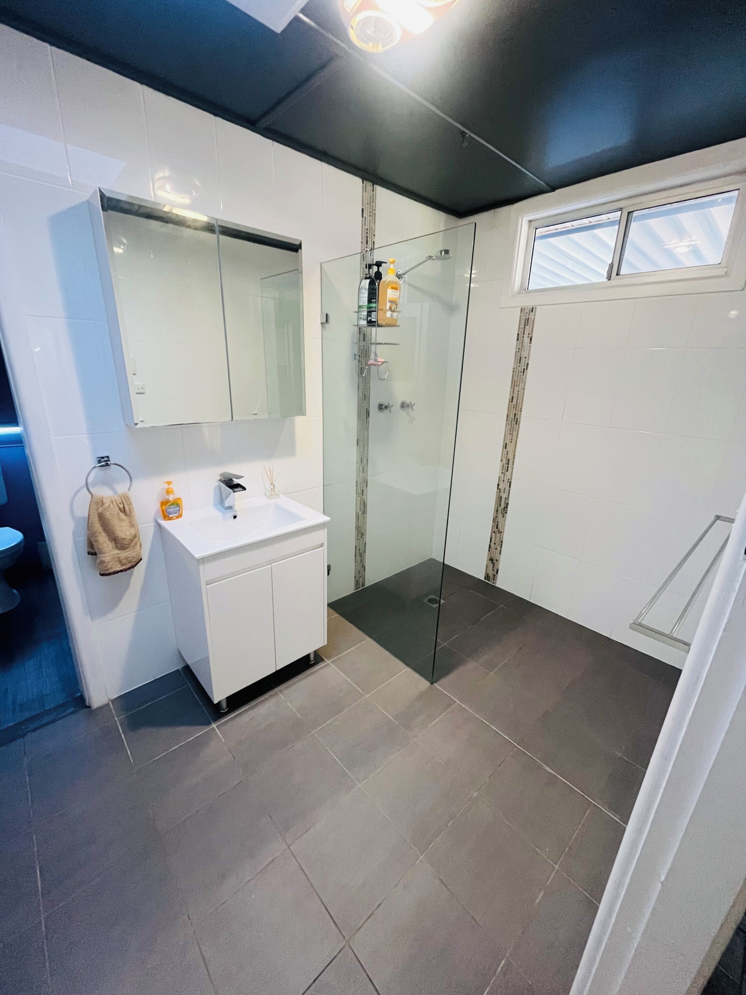 Shower, soap, shampoo, toilet paper