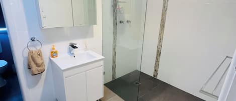 Shower, soap, shampoo, toilet paper