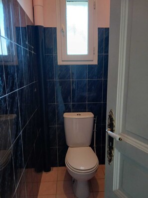 Shower, hair dryer, toilet paper - "Casa Frangi" Enchanting view of Lac du Bourget, beach within walking distance (Conjux)