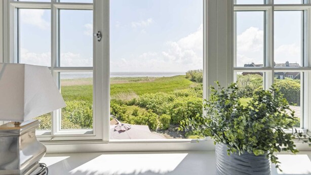 A room with large windows, a potted plant, and a lamp.