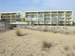 Exterior - Amazing Ocean Front Condo with One Bedroom, Free WiFi, and an Ocean Front Pool (Ocean City)