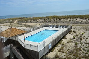 Pool - Amazing Ocean Front Condo with One Bedroom, Free WiFi, and an Ocean Front Pool (Ocean City)