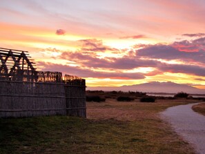 Un coucher de soleil sur un paysage verdoyant, avec une clôture en bois et un sentier.