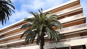 A multi-story building with a palm tree in front. - Studio with terrace - sea view, pool (Menton)