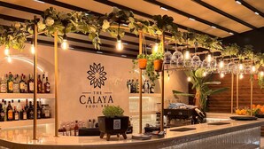 Et barområde med disk, barstole, hængende planter og et skilt med teksten 'The Calaya Pool Bar'.