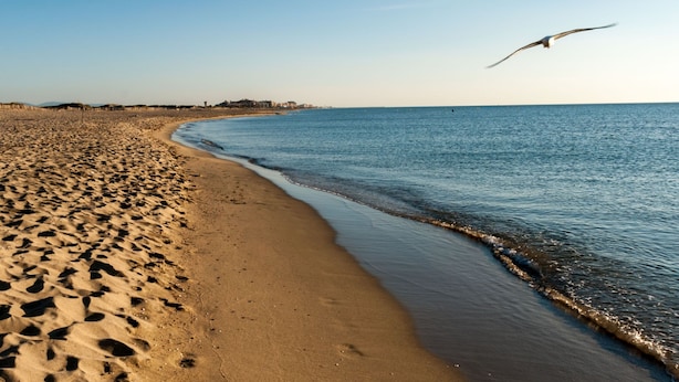 Beach nearby - Les Roses by Interhome (Canet-Plage)