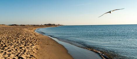Playa en los alrededores
