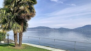 Blick auf das Wasserufer mit einer Rasenfläche, Palmen und einem Geländer.