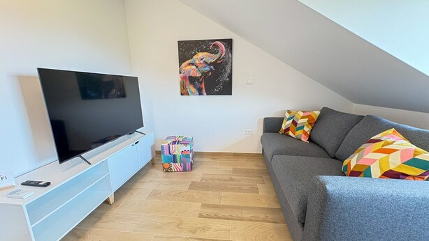 A modern living room with a flat-screen TV, a grey sofa, colorful cushions, and a wooden floor. - Southwest Ljubljana Private Parking 3 (Ljubljana)