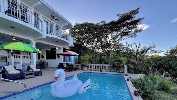 A swimming pool with a swan float, lounge chairs, and umbrellas. - Vieques BioBay B&B, The Horse Room:Sleep Under the Stars, Paddle the Glowing Bay (Vieques)
