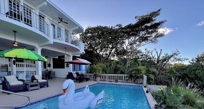 Vieques BioBay B&B, The Horse Room:Sleep Under the Stars, Paddle the Glowing Bay