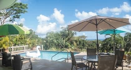 Vieques BioBay B&B, The Fish Room: Sleep Under the Stars, Paddle the Glowing Bay