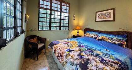 Vieques BioBay B&B, The Fish Room: Sleep Under the Stars, Paddle the Glowing Bay