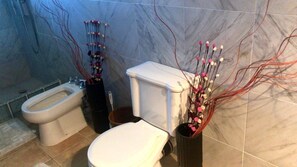 Douche, bidet, serviettes fournies, savon