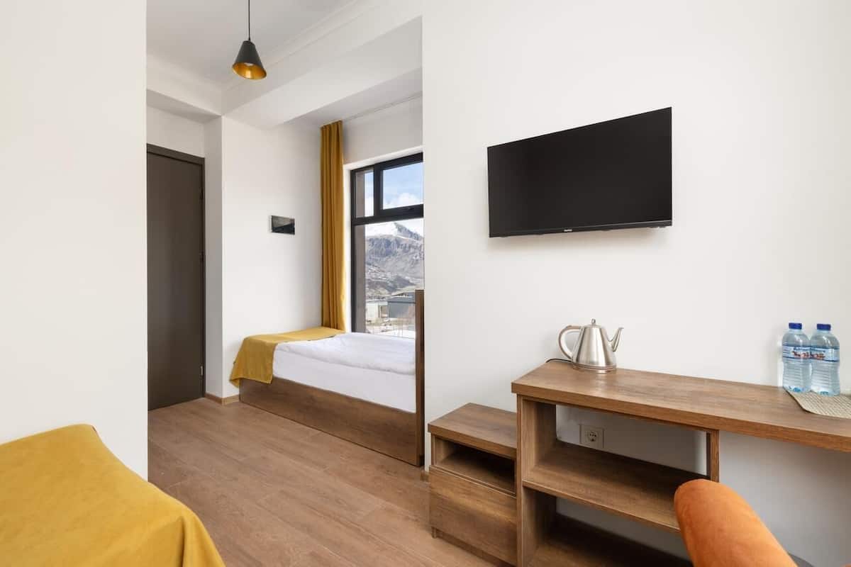 A room with a bed, a desk, a TV, and a window with a mountain view.