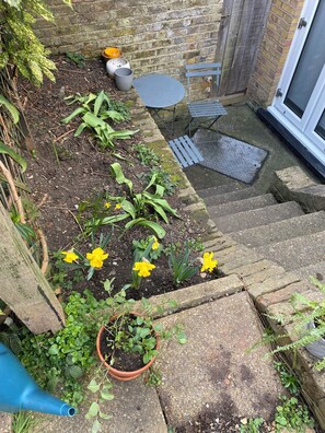 Property grounds - Cute and colourful East London garden flat close to Victoria Park (London)