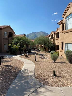 Property grounds - Spacious 3-bedroom condo near beautiful Sabino Canyon with AC pool, spa and gym. (Tucson)