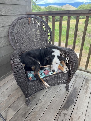 A wicker chair with a floral cushion on a wooden deck.