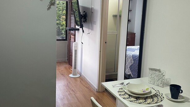 Une pièce de taille modeste comprenant une table à manger, une chaise, un miroir et une plante.