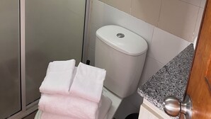 Une salle de bain avec une douche à parois de verre, des toilettes, un lavabo avec un plan de travail en granit et des meubles en bois, agrémentés d’une plante et d’un rouleau de papier toilette.