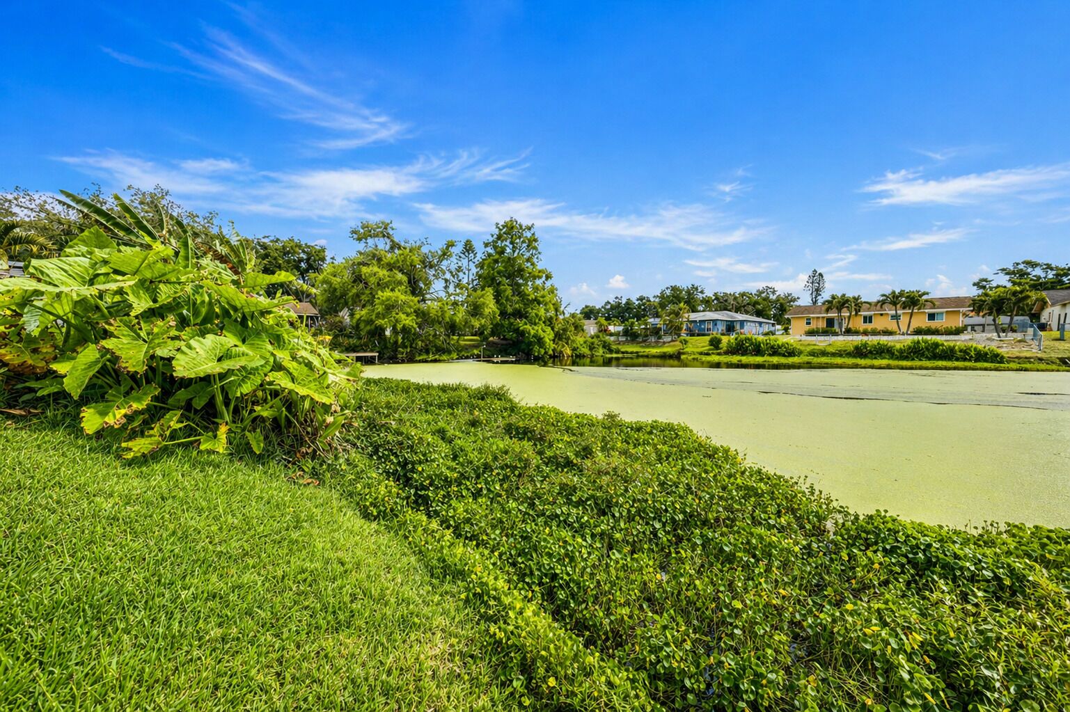 Ein Golfplatz mit einem Wasserhindernis, üppigem Grün und Wohnhäusern im Hintergrund.