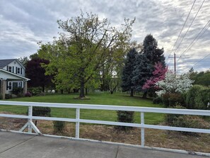 A residential area with a house, a fenced yard, and various trees.