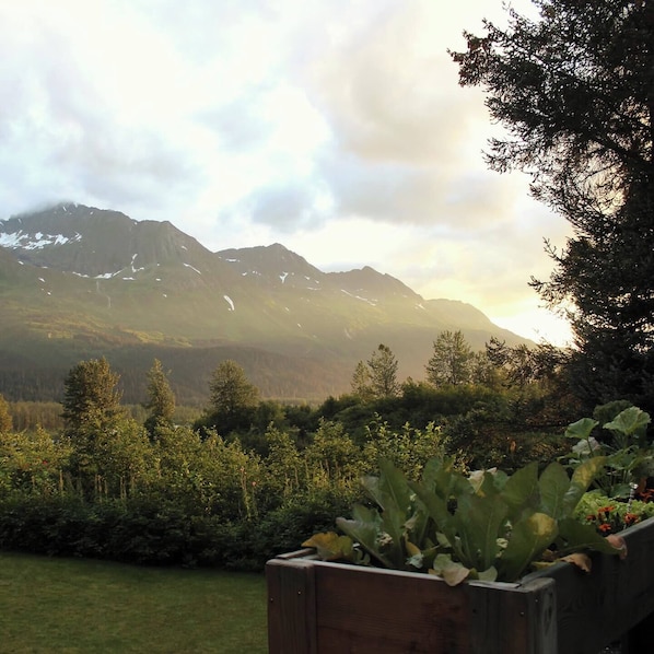 A garden with a wooden planter, a mountain range, and a cloudy sky.