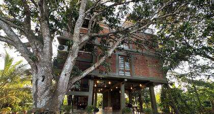 Ceylon resort wilpattu