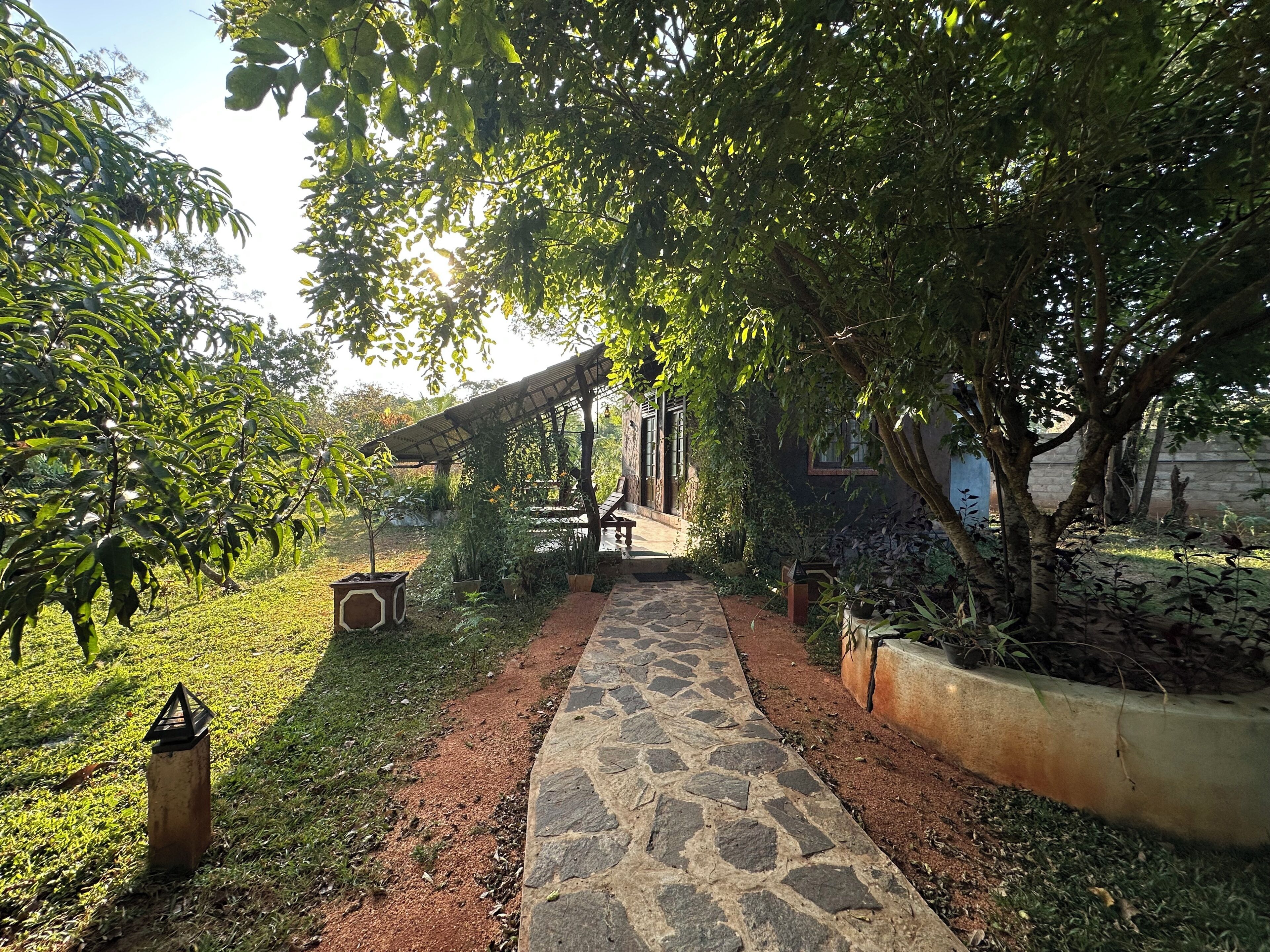 Un sendero en un jardín que lleva a una zona de estar cubierta con una pérgola, rodeada de árboles y plantas.