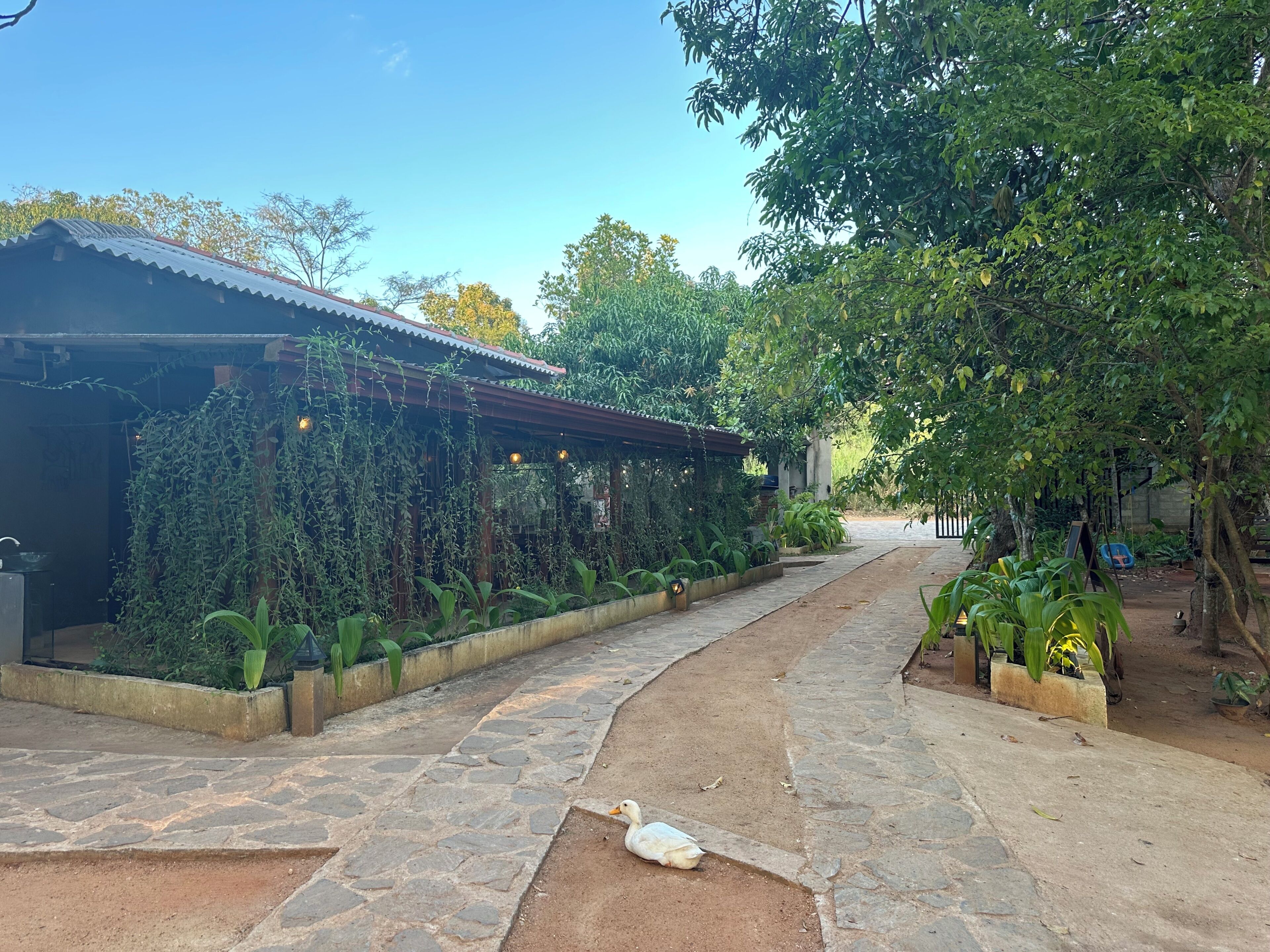 Standard Double Room, Patio, Garden View | Property grounds