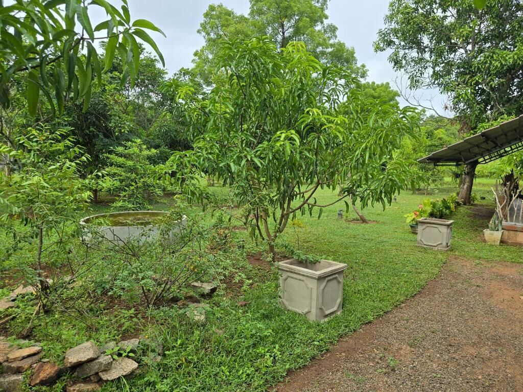 A garden with a pond, stone planters, and a gazebo.