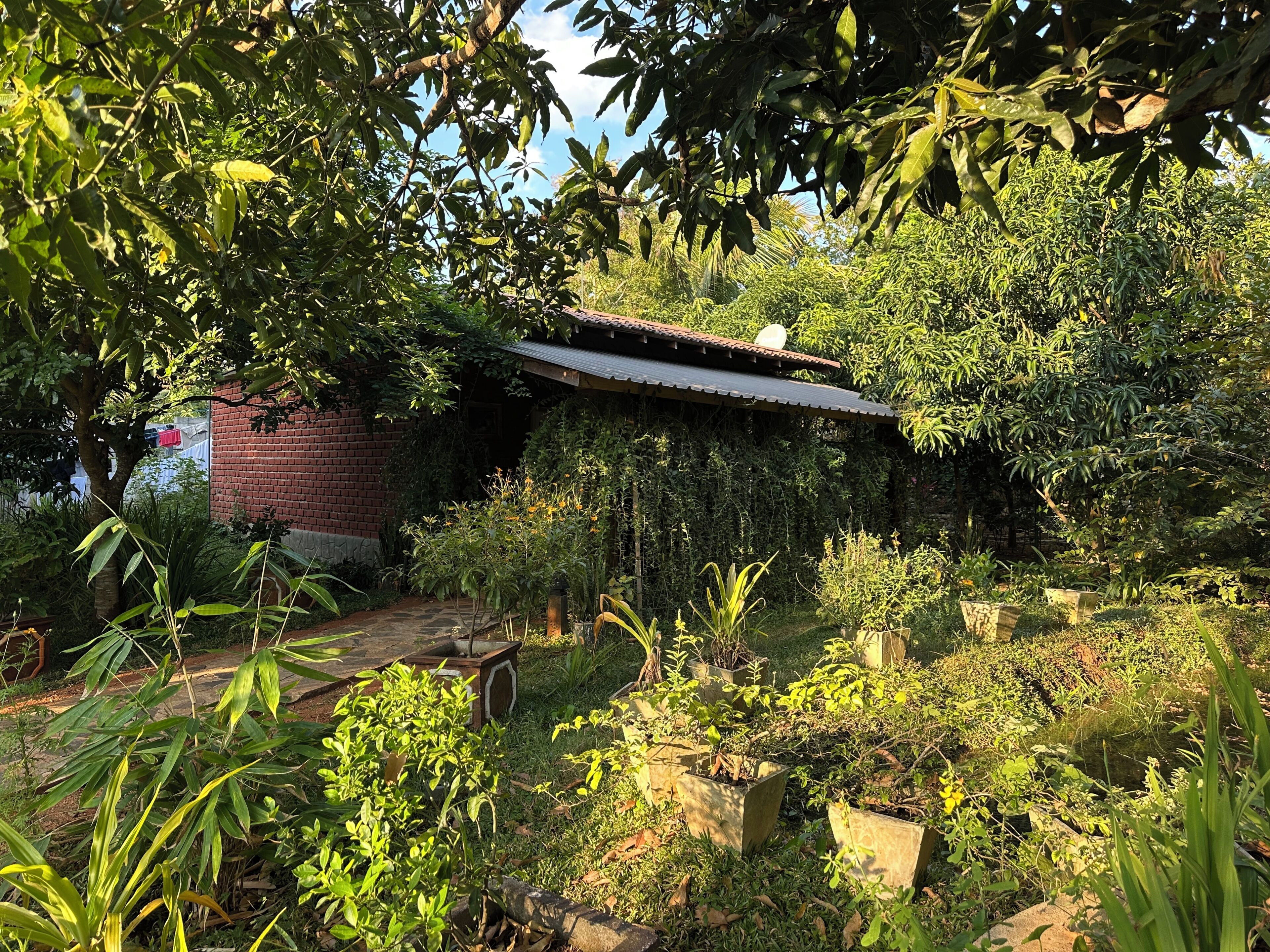 Een tuin met diverse planten en een bakstenen gebouw met een metalen dak.