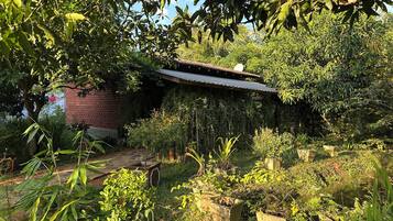 A garden with various plants and a brick building with a metal roof.