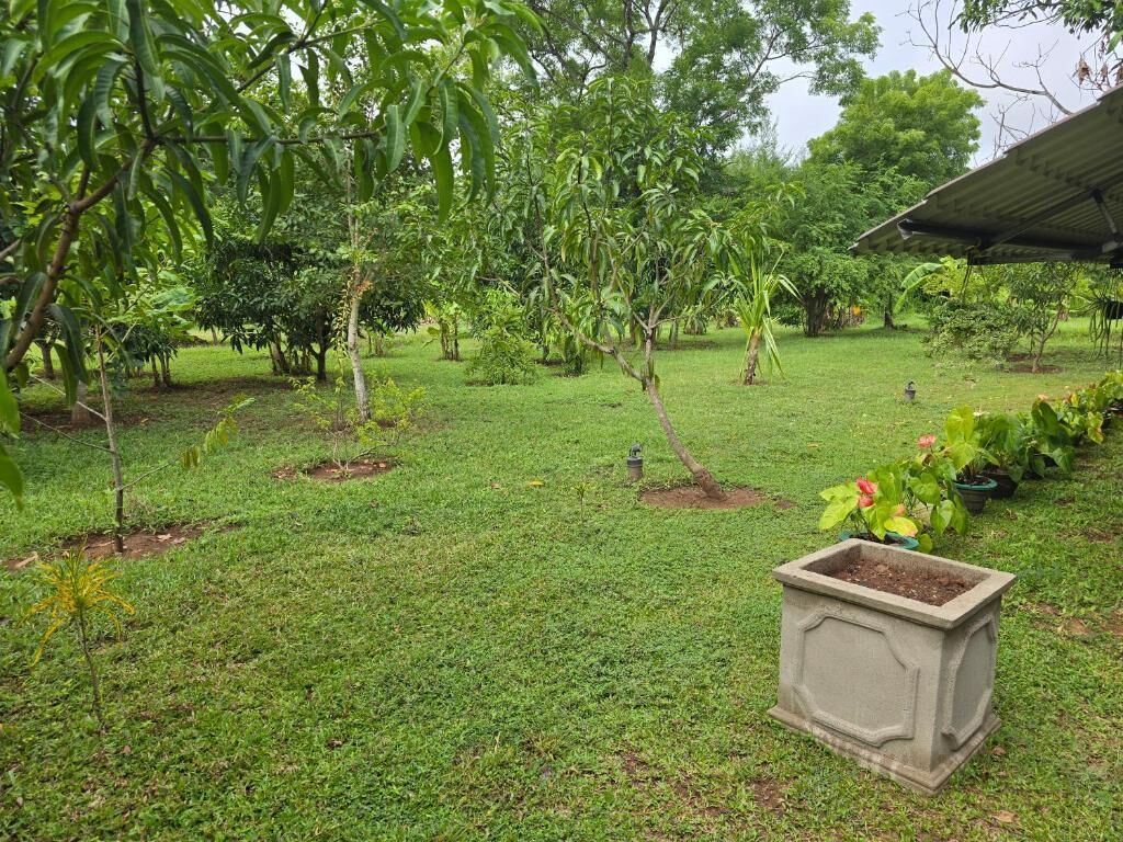 Un jardín bien cuidado con varios árboles y una jardinera.