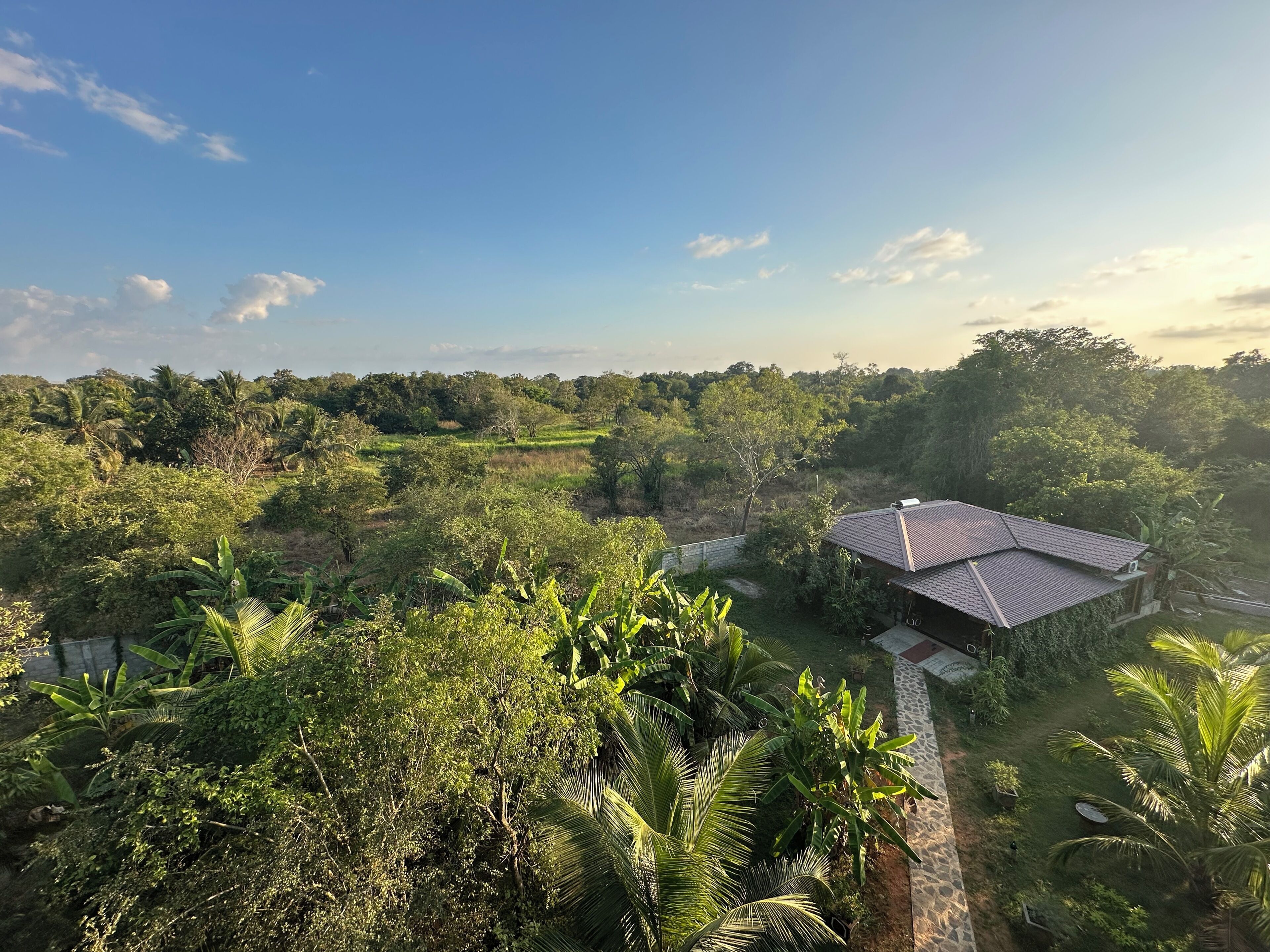 A house with a tiled roof, surrounded by lush greenery and trees.