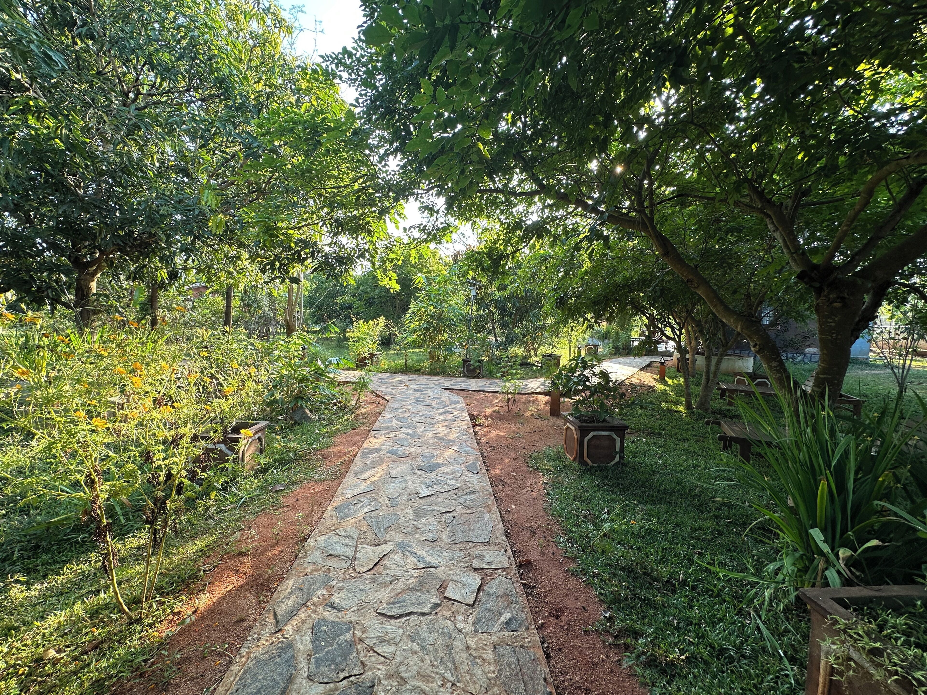 A stone pathway in a lush garden with trees and potted plants.