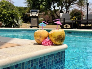 Outdoor pool - Luxury 2-bedroom villa with private pool in beautiful Lowlands (Lowlands)