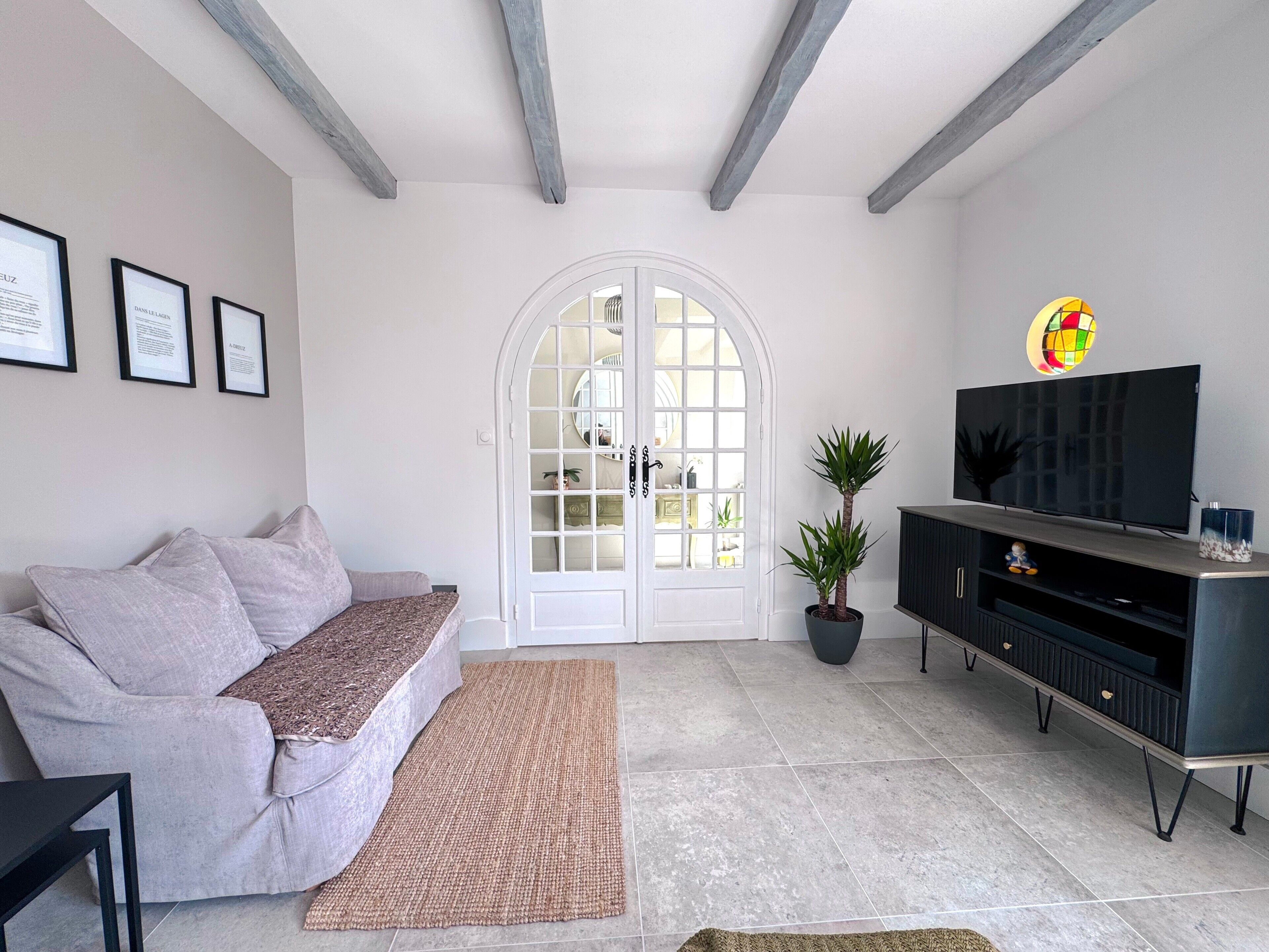 A living room with a sofa, a television, a potted plant, and a door with glass panels.