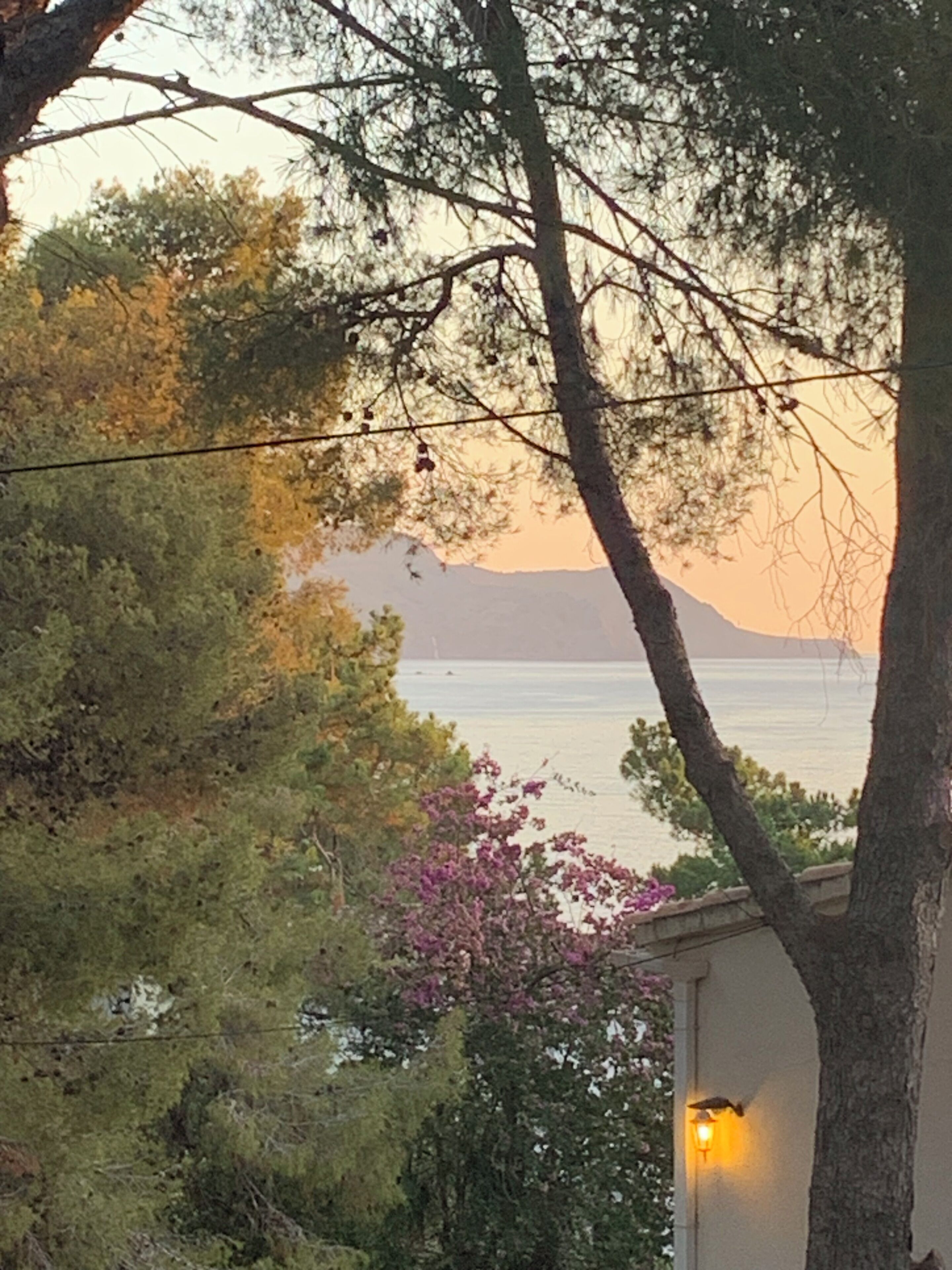 Un paisaje costero con árboles, un edificio con una luminaria y vista al mar.
