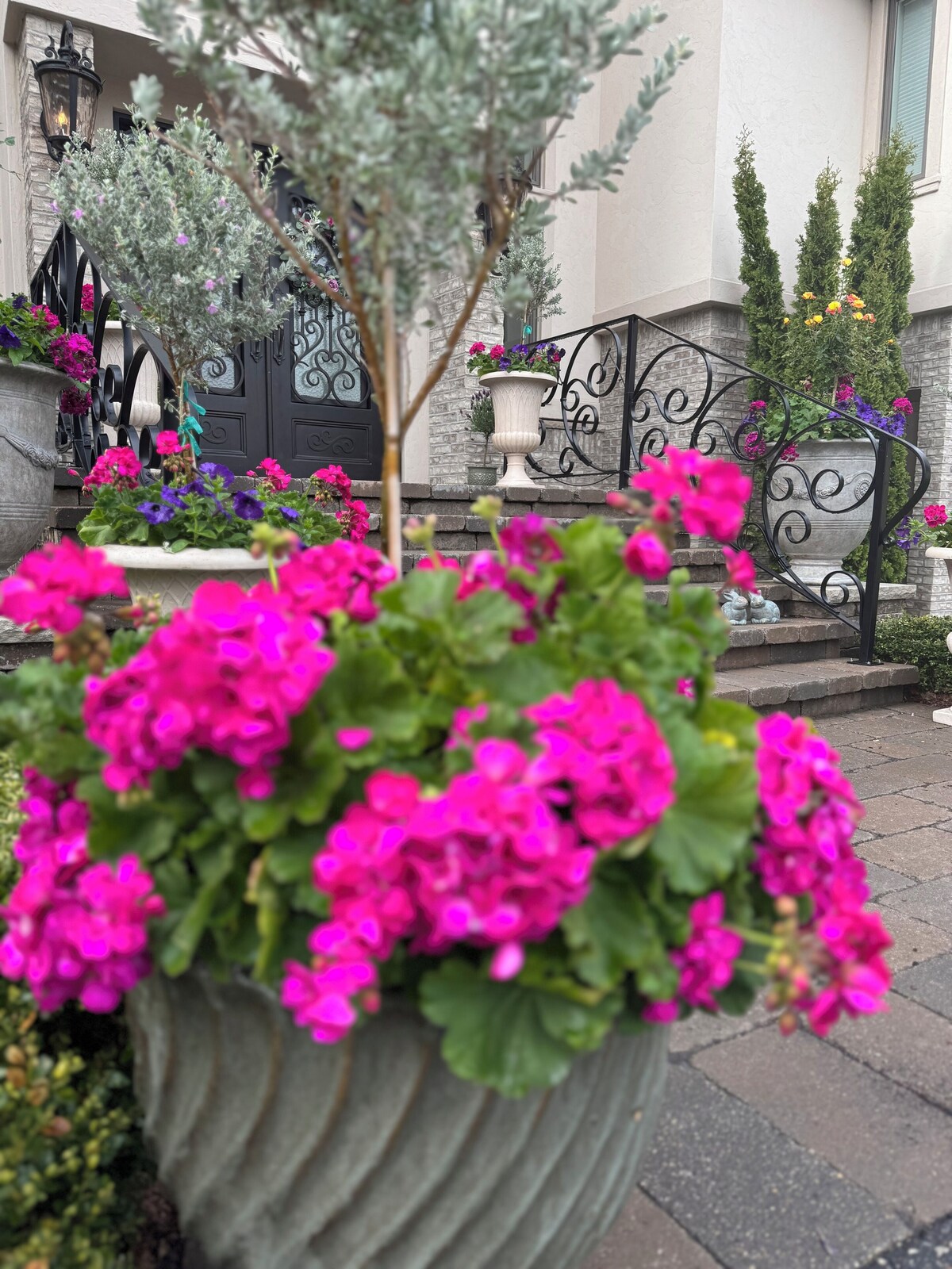 Image de profil de l’hôte