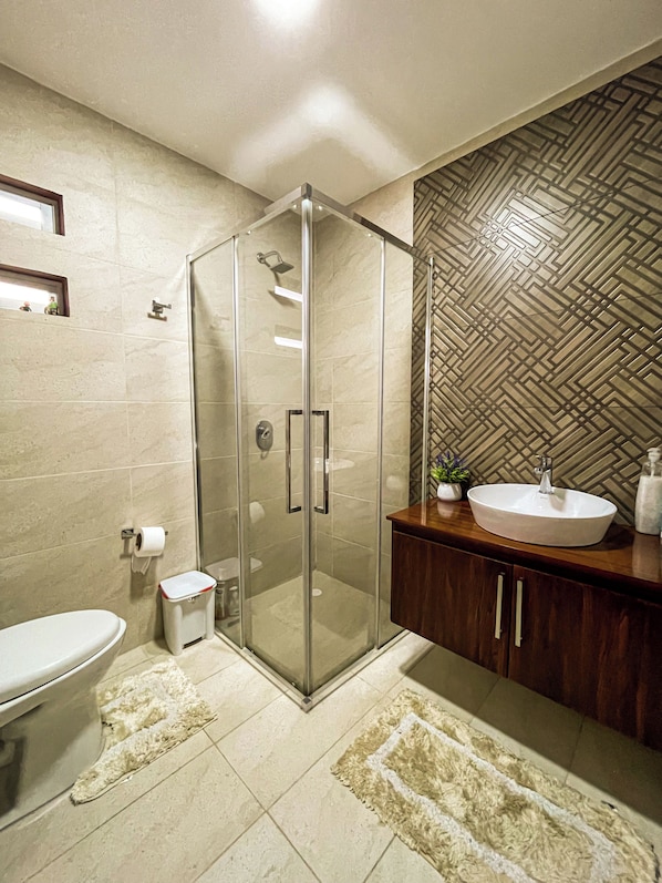 Shower, towels, soap, toilet paper